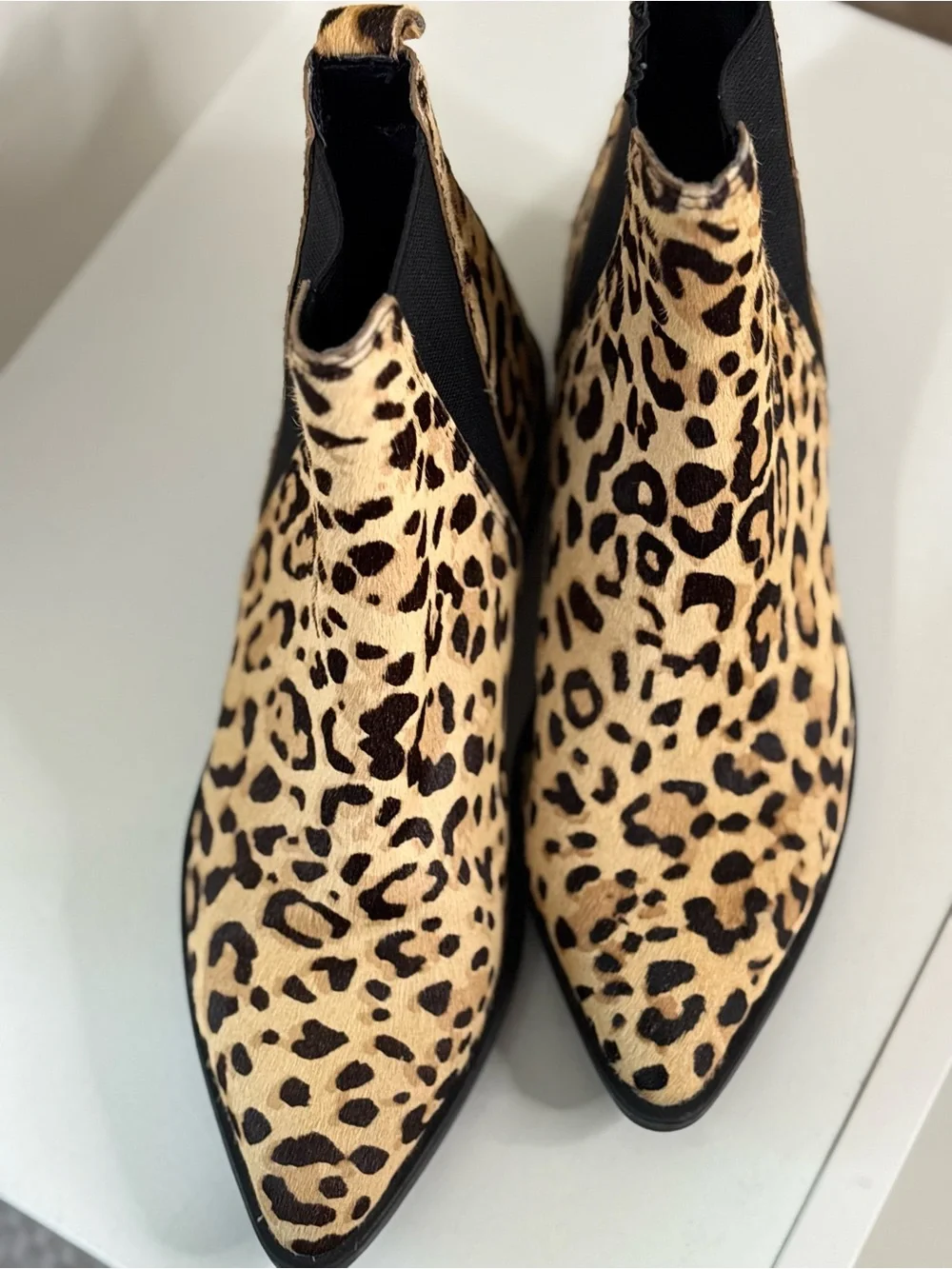 Steve Madden Leopard Print Chelsea Ankle Boots - Beige/Black